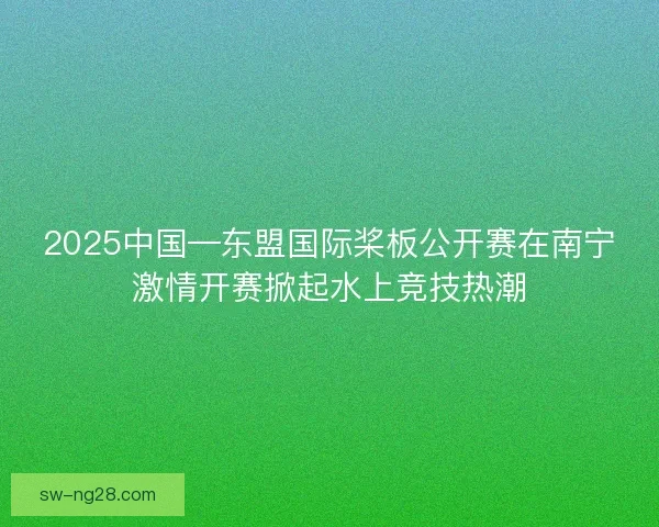 2025中国—东盟国际桨板公开赛在南宁激情开赛掀起水上竞技热潮